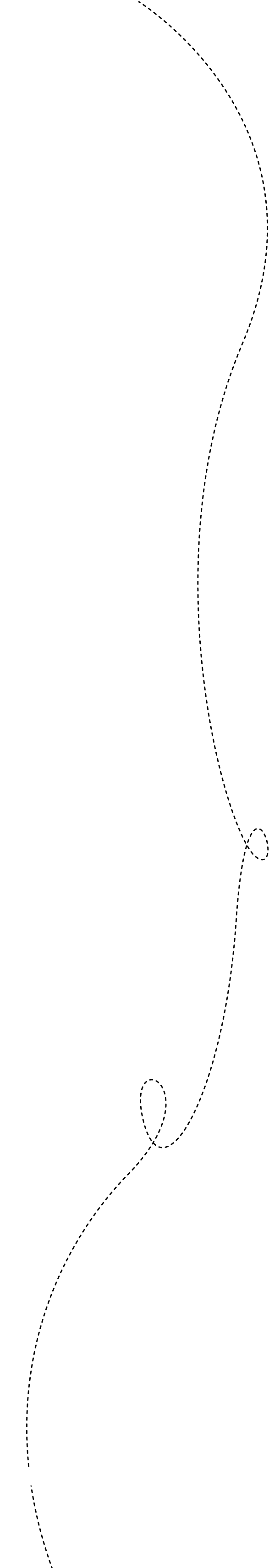 lines